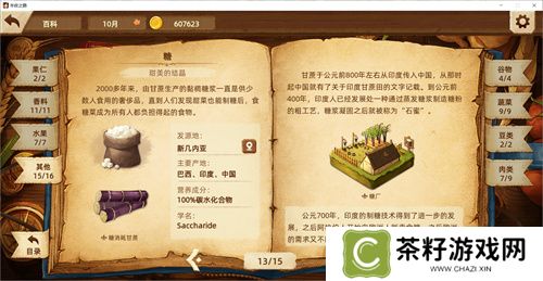 【游·见】专访Muccy Games：在代码缝隙播种知识，让游戏成为认知的脚手架